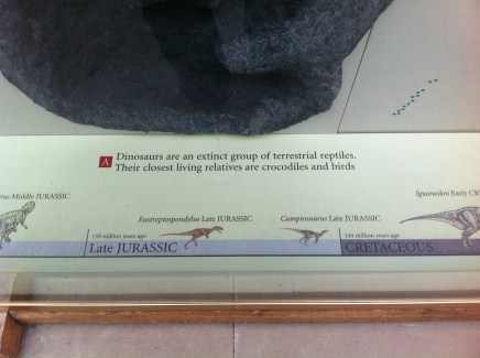 A picture I took at the Oxford Museum of Natural History.  Can you spot what's wrong with this panel?  High horses feel nice, don't they?