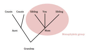 Screen Shot 2015-01-22 at 7.15.04 PM