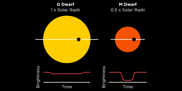 Stars, just like planets and people, come in all different shapes and sizes.  That means light curves also vary widely.   Image from Planethunters.org